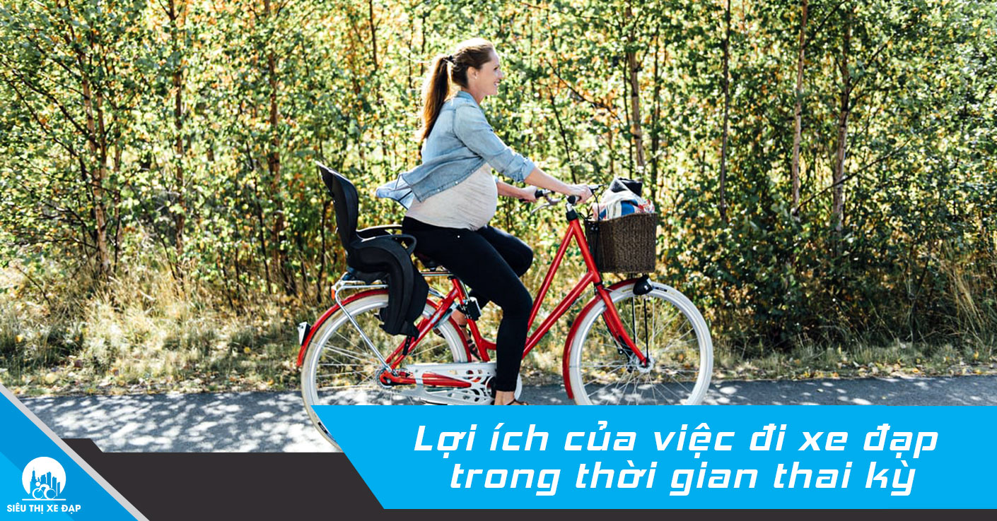 xe đạp đua Alcott GT09 made in thailand giá sỉ giá bán buôn  Thị Trường Sỉ