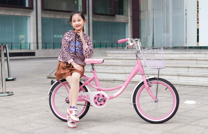 [Tham khảo ngay] TOP 5 mẫu xe đạp bé gái 20 inch (từ 7 - 12 tuổi) BÁN CHẠY NHẤT T01/2023