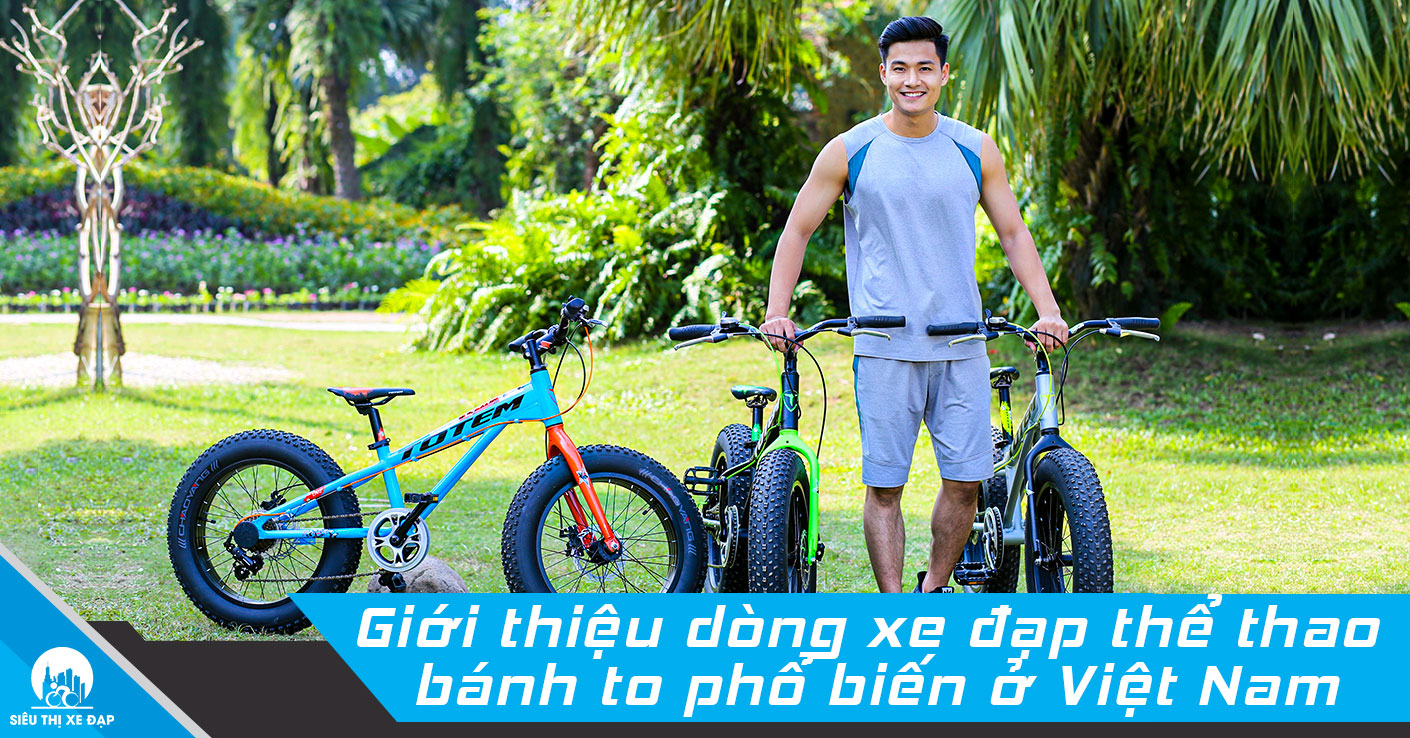 Giới thiệu dòng xe đạp thể thao bánh to phổ biến tại Việt Nam