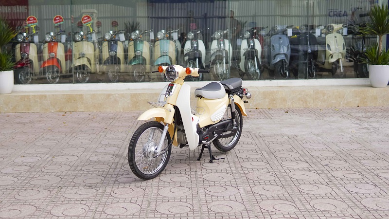 Có nên mua xe Cub 50cc cho học sinh? Chưa đủ tuổi lái xe có bị phạt không?