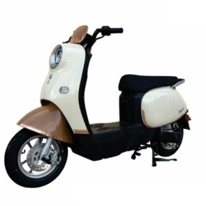 XE ĐẠP ĐIỆN DIBAO ROSA S