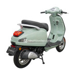 XE GA 50CC DIBAO PANSY XS1 2023