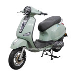 XE GA 50CC DIBAO PANSY XS1 2023