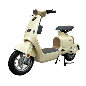 XE MÁY ĐIỆN DIBAO KEVÁ