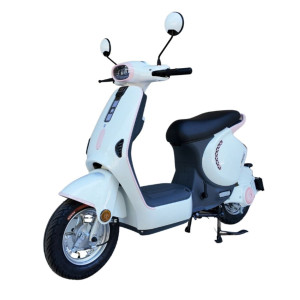 XE ĐẠP ĐIỆN DIBAO M1P 240