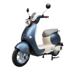 XE MÁY ĐIỆN DIBAO QUEEN