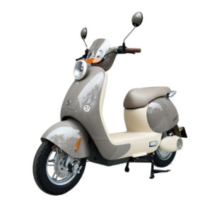 XE MÁY ĐIỆN DIBAO QUEEN