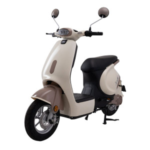 XE MÁY ĐIỆN DIBAO S-ONE