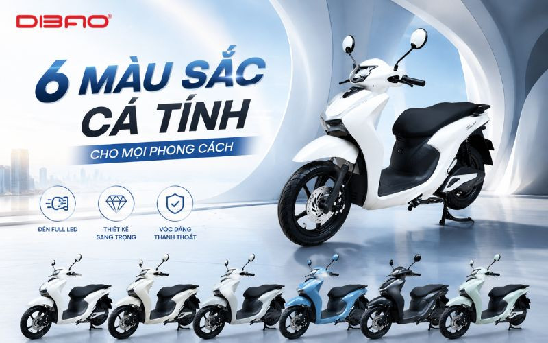 Dibao-shine-sa1500-8
