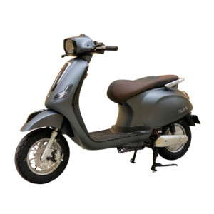 XE MÁY ĐIỆN DIBAO TESLA E