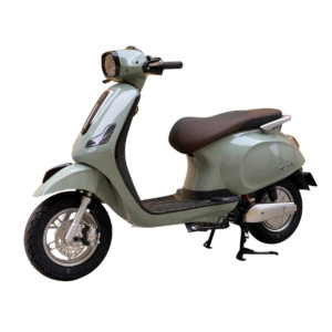 XE MÁY ĐIỆN DIBAO TESLA DIO E