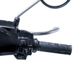 XE MÁY ĐIỆN VESPA TAKASHI CROWN