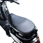XE MÁY ĐIỆN VESPA TAKASHI CROWN