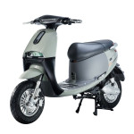 XE MÁY ĐIỆN GOGO TAKASHI GO2