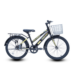 XE ĐẠP TRẺ EM THỐNG NHẤT GN 2.0 20" (DC)
