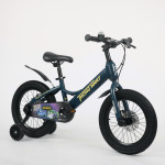 XE ĐẠP TRẺ EM THỐNG NHẤT BATWHEELS 16"