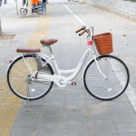XE ĐẠP THỐNG NHẤT NEW 24