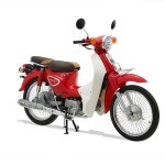 XE CUB NEW 50CC