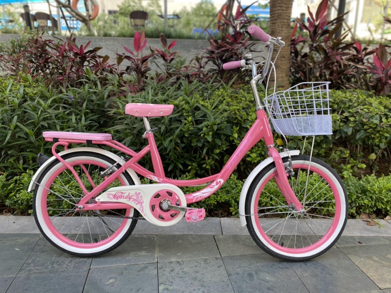 Một mẫu xe đạp xinh xắn cha mẹ có thể tặng cho con yêu