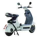 XE ĐIỆN TAKASHI X2
