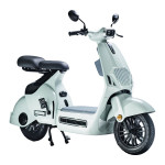 XE ĐIỆN TAKASHI X2