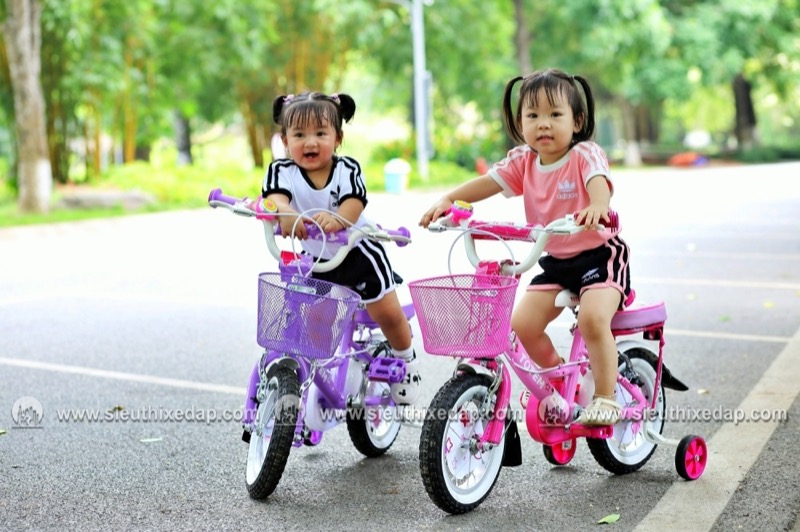 Ảnh 2: Mẫu xe đạp trẻ em Totem này được thích thú với màu sắc tươi sáng, nữ tính