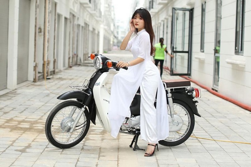 Top 5 xe số 50cc Cub tốt nhất năm 2023 bạn nên mua